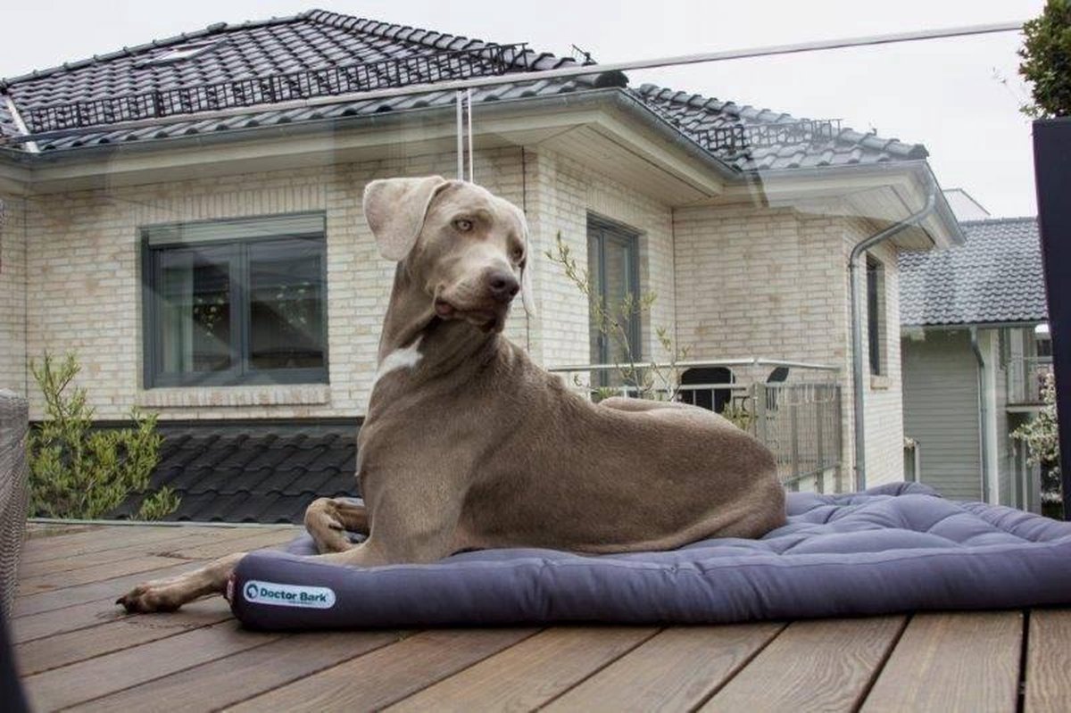 Doctor Bark Dog Cushion - L - Grijs