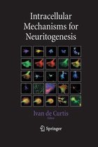 Intracellular Mechanisms for Neuritogenesis