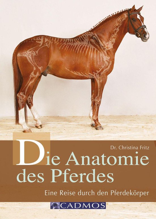 Haltung und Gesundheit - Die Anatomie des Pferdes - cover