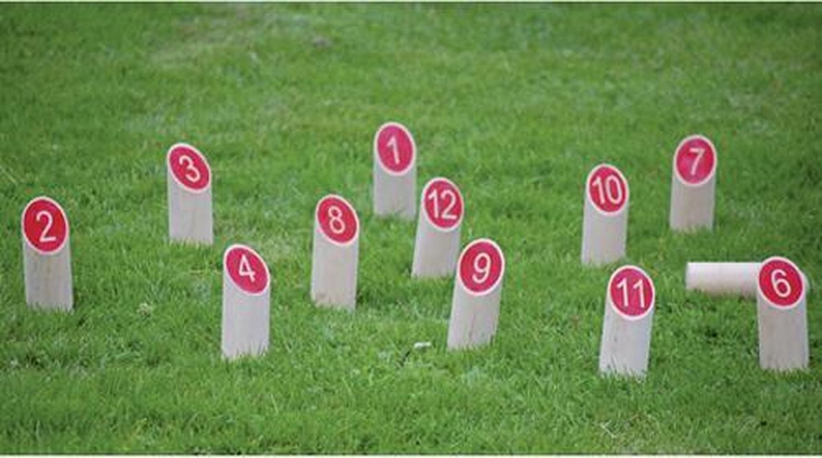 Bex Sport Family Numbers Kubb Berkenhout — afbeelding 2