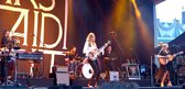 Alle artikelen van First Aid Kit