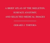 A Brief Atlas of the Skeleton Surface Anatomy, and Selected Medical Images