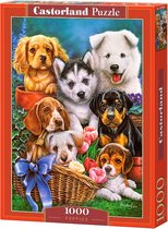 Castorland Legpuzzel Puppies - 1000 Stukjes