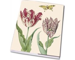 Schrift A5: Tulpen/Tulips, Jacob Marrel, Collection Rijksmuseum Amsterdam