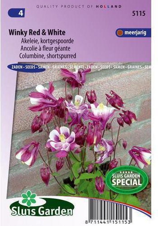 Jardin Sluis - Akelei Winky Rouge & Blanc