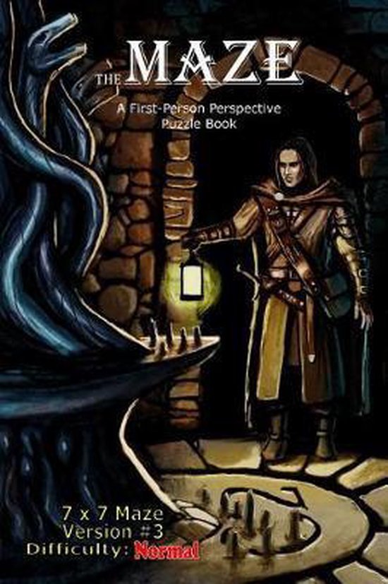 The Maze: A First-Person Perspective Puzzle Book-The Maze - cover