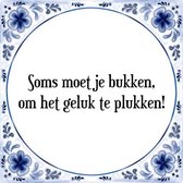 Tegeltje met Spreuk (Tegeltjeswijsheid): Soms moet je bukken, om het geluk te plukken! + Kado verpakking & Plakhanger