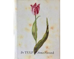 Tulp