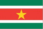 vlag Suriname 90x150cm Best Value
