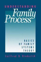 Understanding Family Process