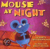 Mouse at Night