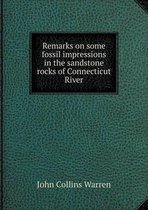 Remarks on some fossil impressions in the sandstone rocks of Connecticut River