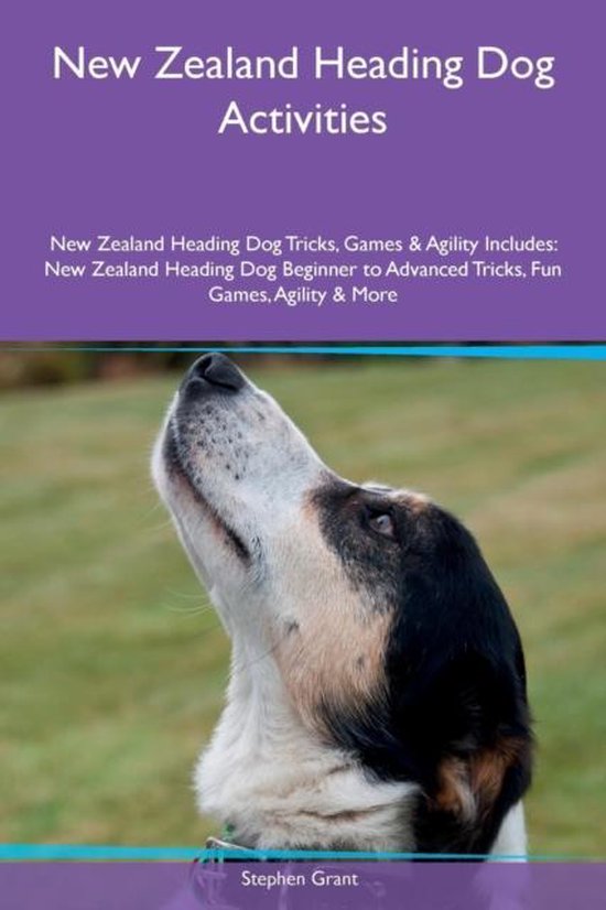 New Zealand Heading Dog Activities New Zealand Heading Dog Tricks