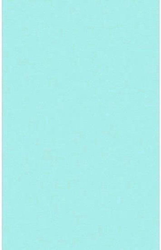 Regulatie Arabisch openbaring Mintblauw tafellaken/tafelkleed 138 x 220 cm herbruikbaar | bol.com
