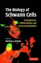 The Biology of Schwann Cells