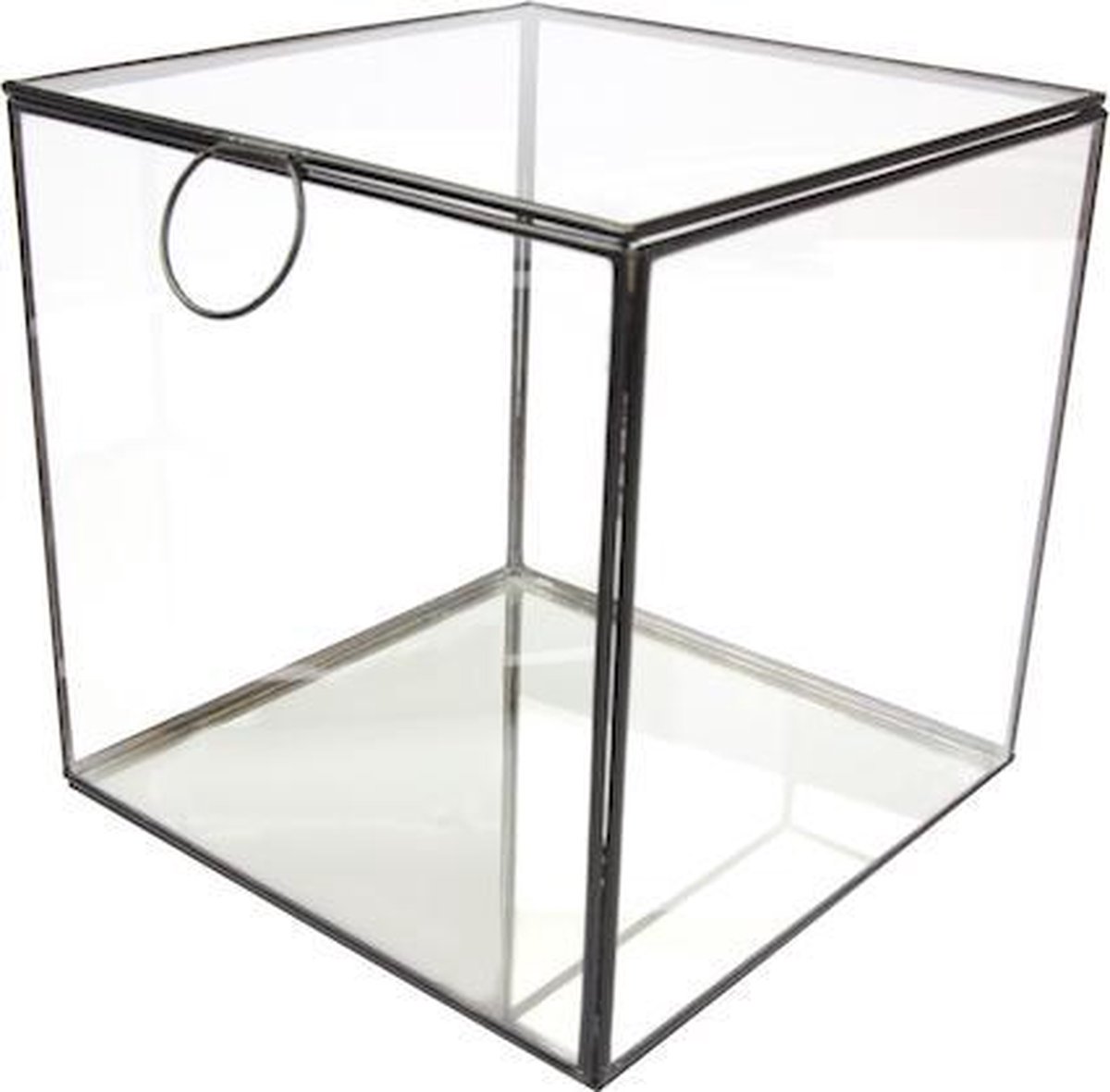 Home66 - Glazen Box - 15cm | bol.com
