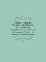 Punjab Wheat