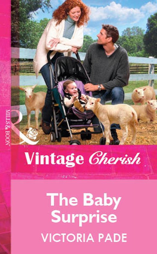 The Baby Surprise (Mills & Boon Vintage Cherish) - cover
