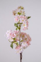 Cherry Blossom - 1 stuk - Kersen bloesem - creme/licht roze - topkwaliteit - 80cm