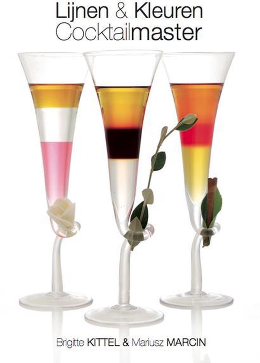 Goedkoopste Cocktailmaster - Receptenboek