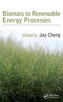 Biomass to Renewable Energy Processes