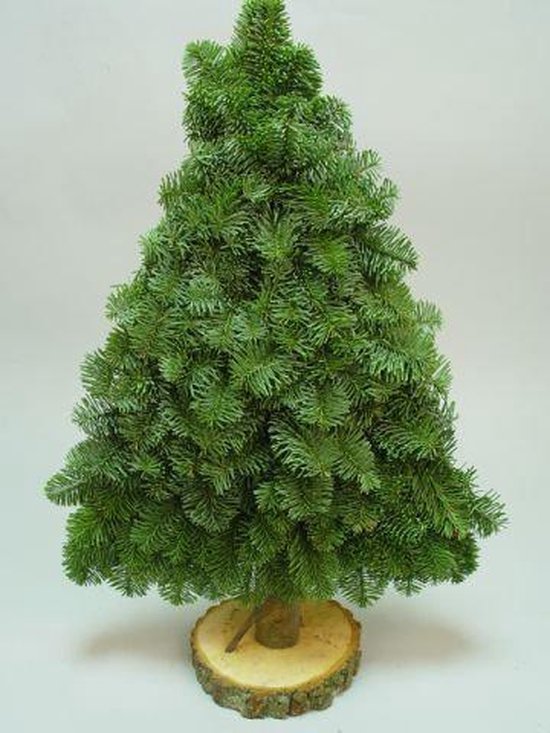 Nobilis Kunstkerstboom Echt groen