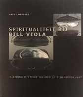 Spiritualiteit bij Bill Viola