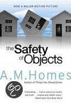 Safety of Objects