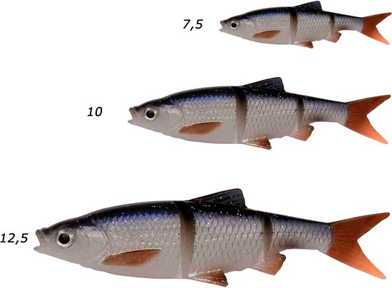 Savage Gear 3D LB Roach Swim & Jerk 7,5cm - Realistische Kunstaas Vissen — afbeelding 2