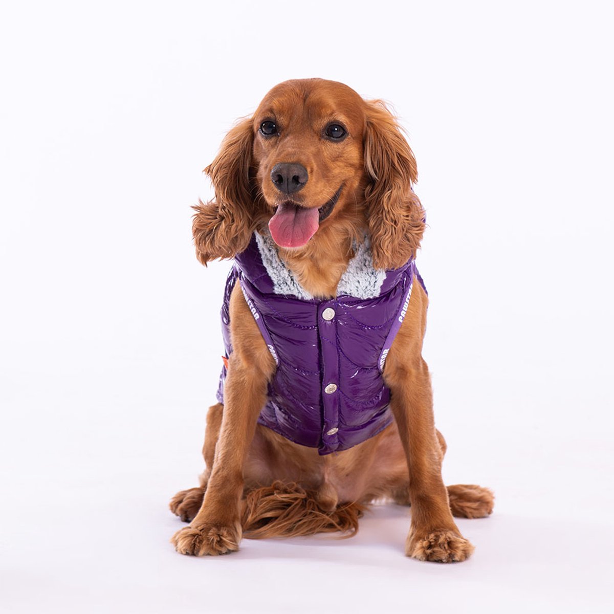 Pawstar Light Wave - Hondenbodywarmer - Paars - M