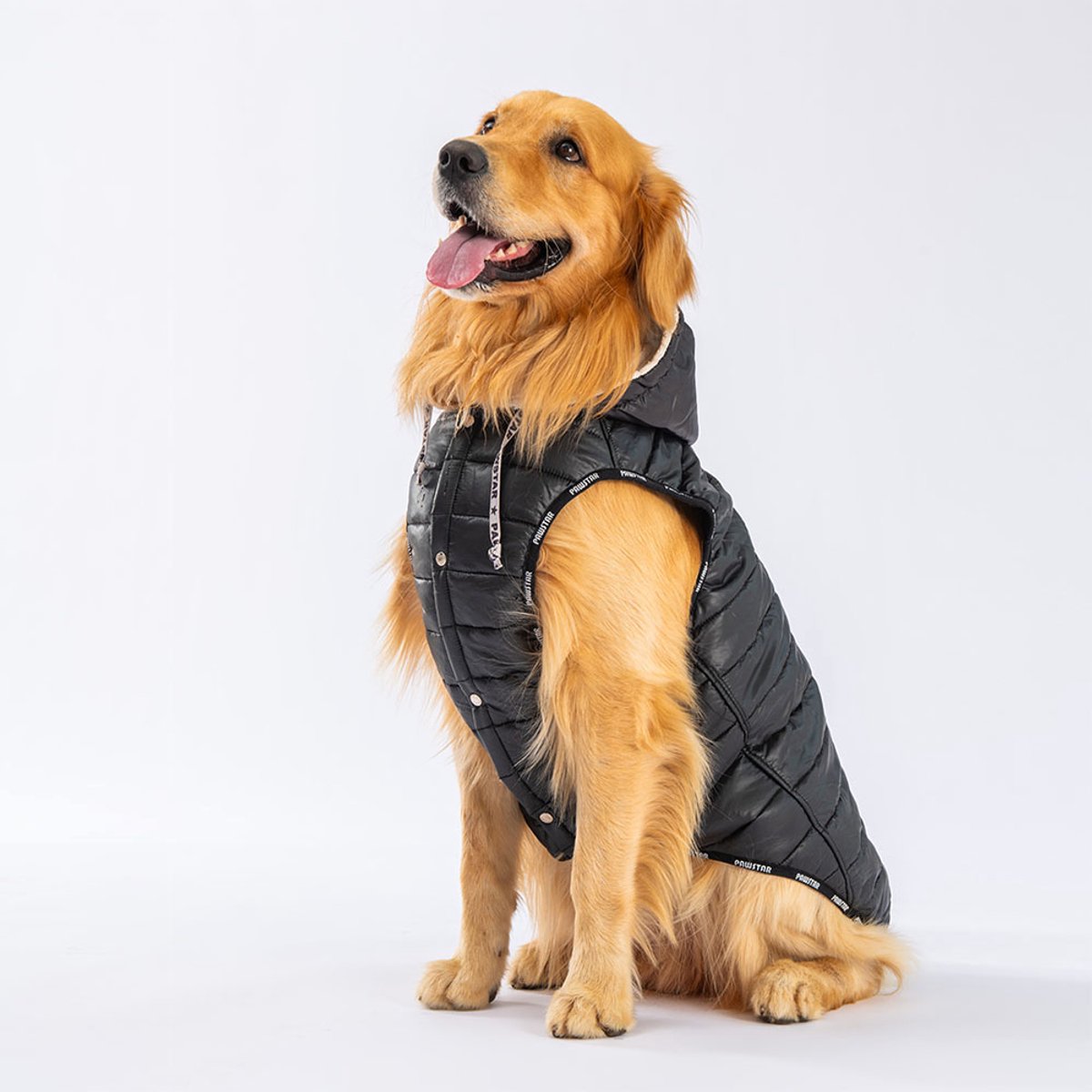 Pawstar Railway Big - Hondenbodywarmer - Zwart - 6XL