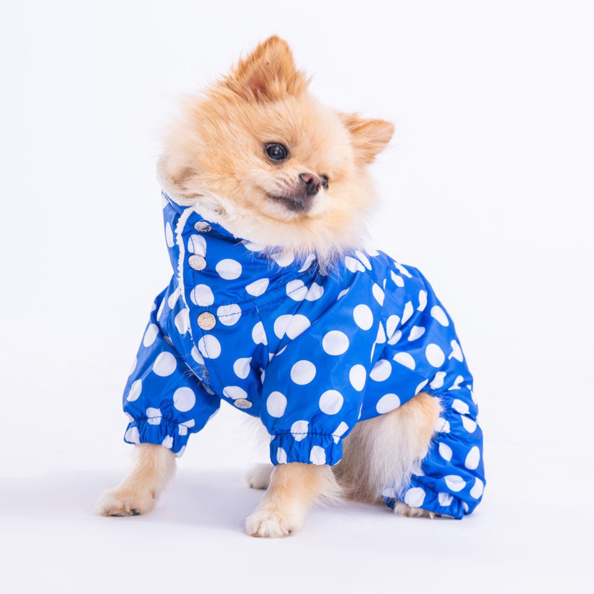 Pawstar Dots - Hondenoverall - Blauw - L