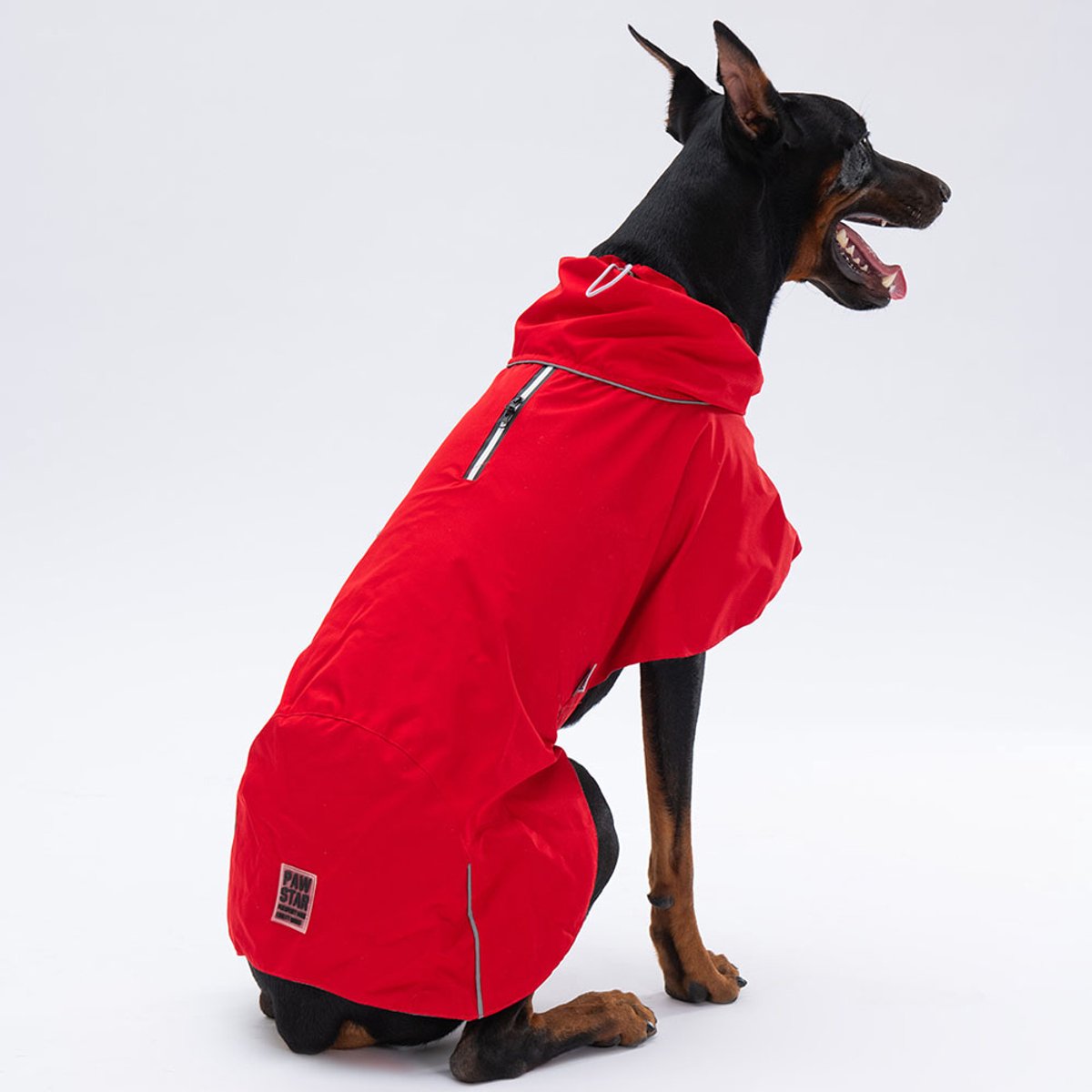 Pawstar Colombia - Hondenregenjas - Rood - XL