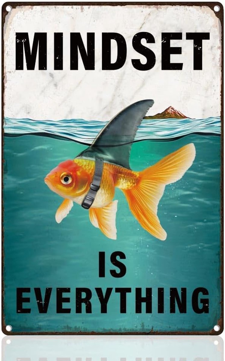 Is Everything motiverende retro wanddecoratie metalen tinnen bord 20 x 30 cm vis haaienvin inspirerende vintage muurkunst poster voor thuis, café, kantoor, clubdecoratie
