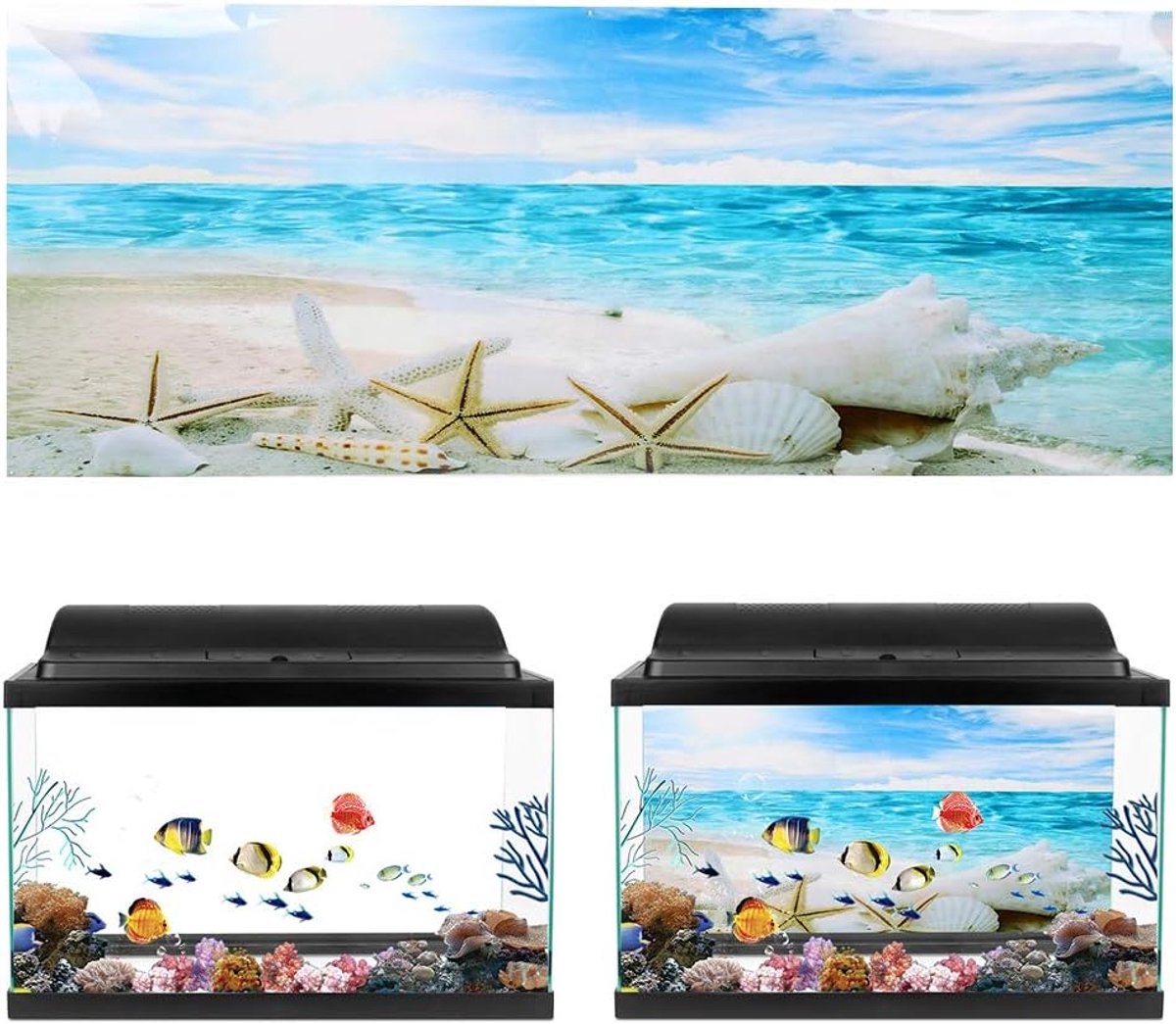 Cosensi- Aquariumachtergrondposter 3D PVC - Zeesterrenschilderij - Aquariumdecoratie - Zelfklevend - Afmeting 61x30 cm - Geschikt voor aquarium - Aqua