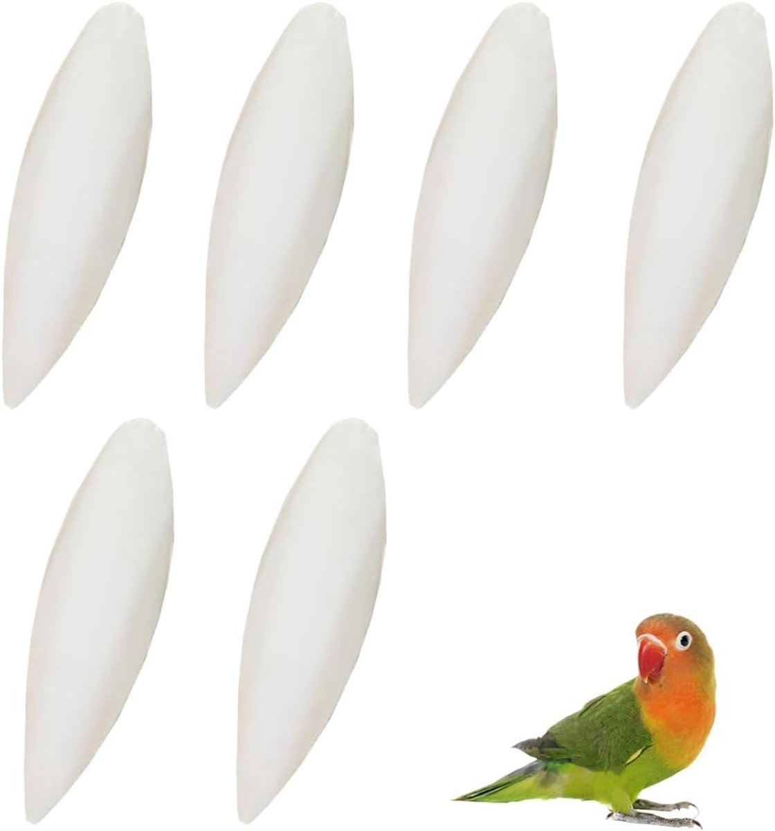 6 stuks natuurlijke botten, sepia-botten voor papegaaien, voor vogels, schildpadden en andere huisdieren, geschikt voor schildpadden, vogels en reptielen
