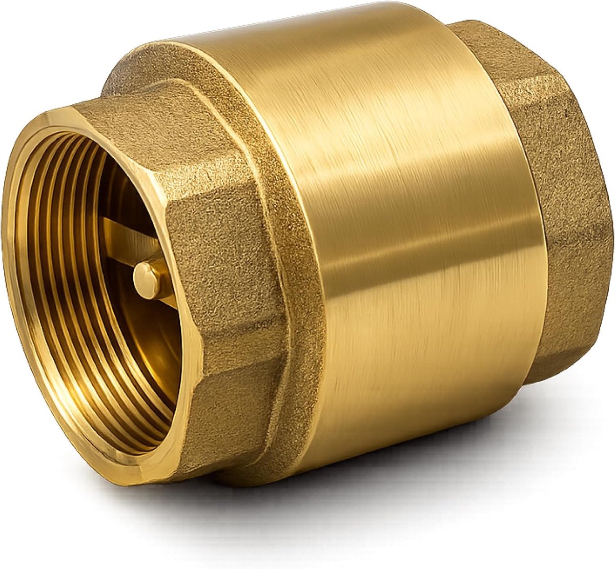 Terugslagklep type York 2 inch met messing klem en veer van roestvrij staal PN16, maximaal 120 graden voor water, sanitair en watersystemen FLUVIA