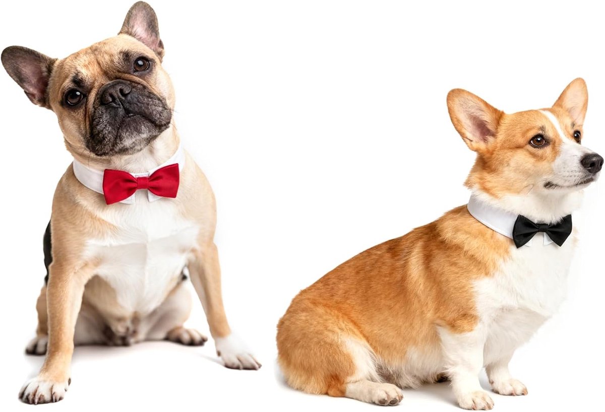 2 stuks vlinderdas voor honden en katten, verstelbare hondensmokingkraag, formele huisdierkostuumaccessoires voor bruiloft, verjaardagsfeest, zwart en rood