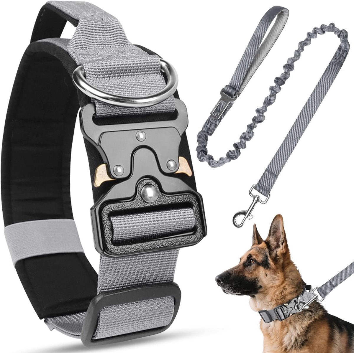 Hondenhalsband en riem, verstelbaar, robuust, met metalen gesp, comfortabele nylon halsband voor kleine, middelgrote en grote honden (grijs, M)