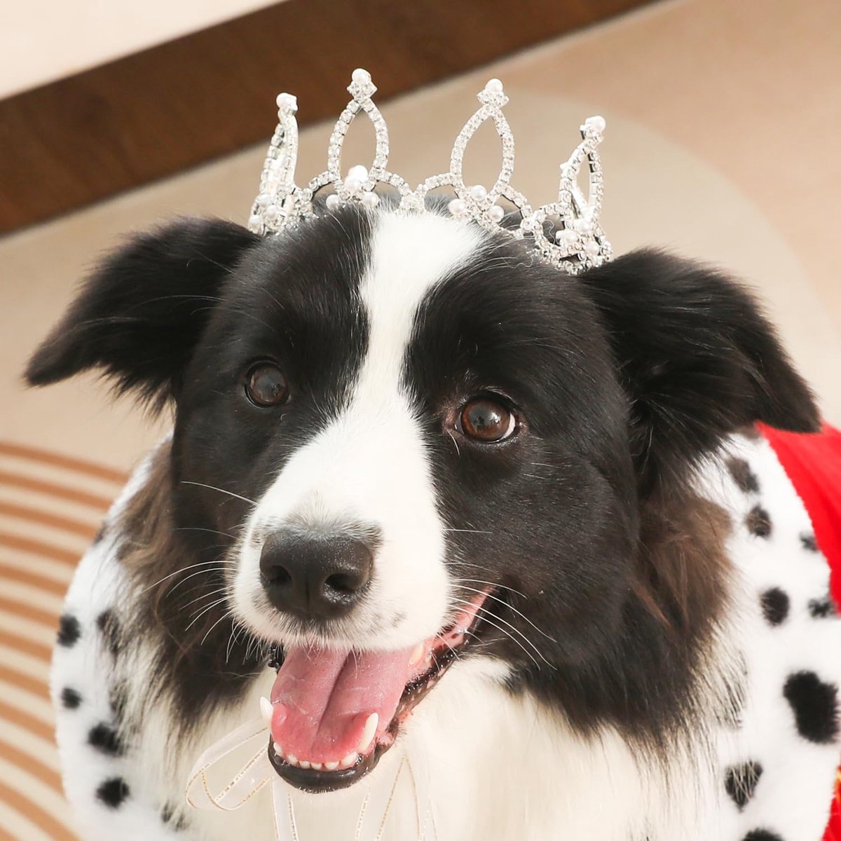 Parel strass huisdier kroon voor honden en katten, zilver, L