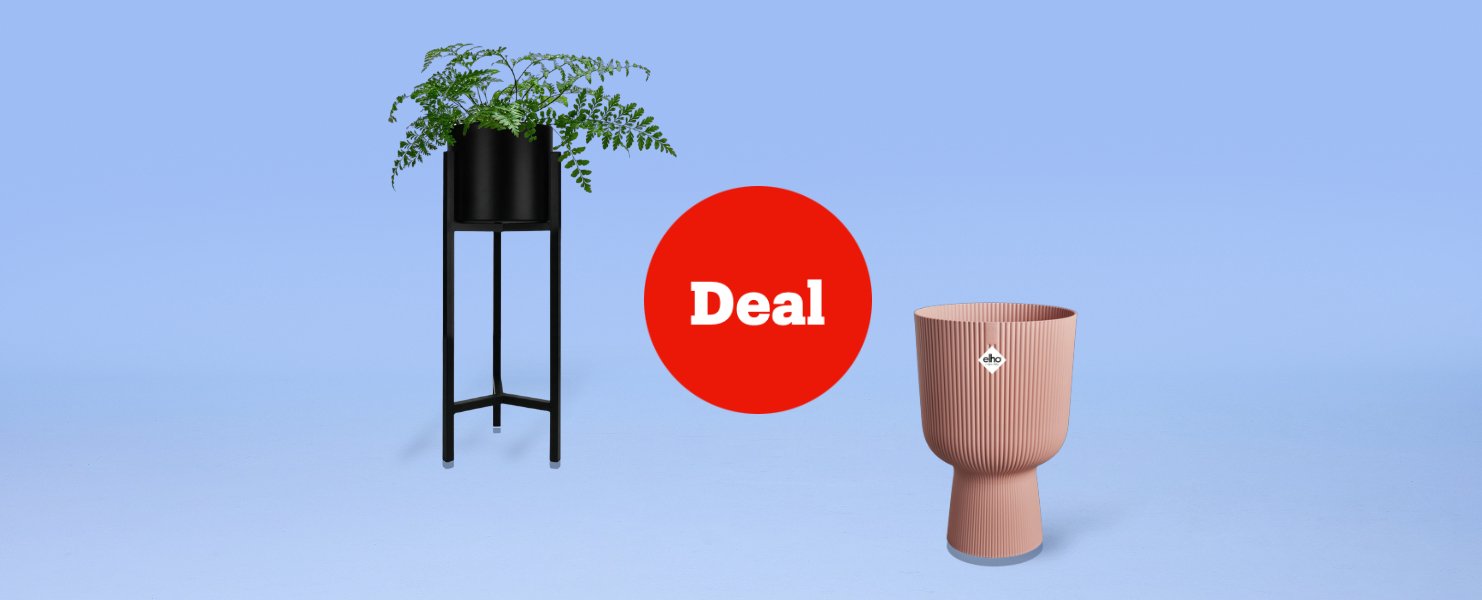 Offre sur