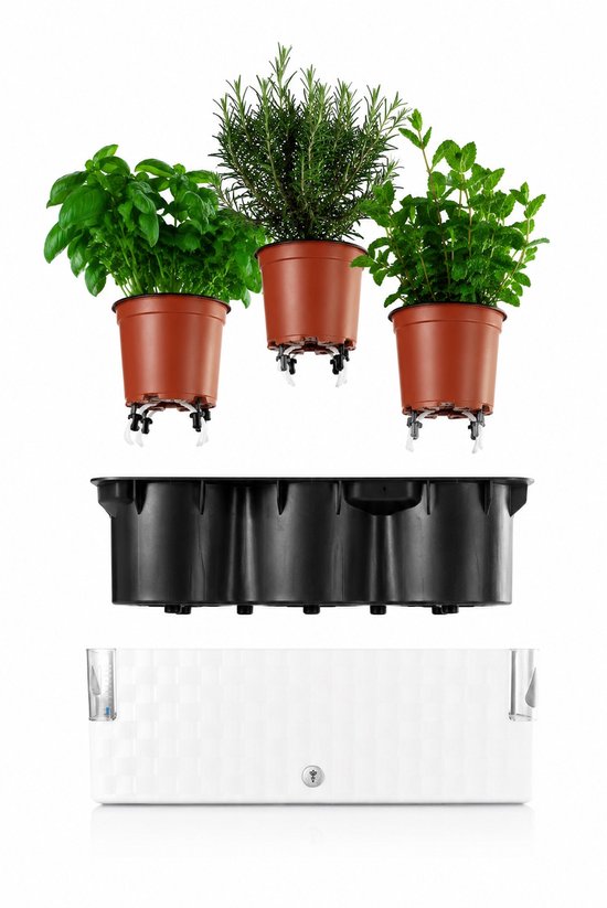 Cobble Trio - Slimme kruidenpot met bewateringssysteem - Kristalwit - Kruidenbak - Kweekbak - Plantenbak