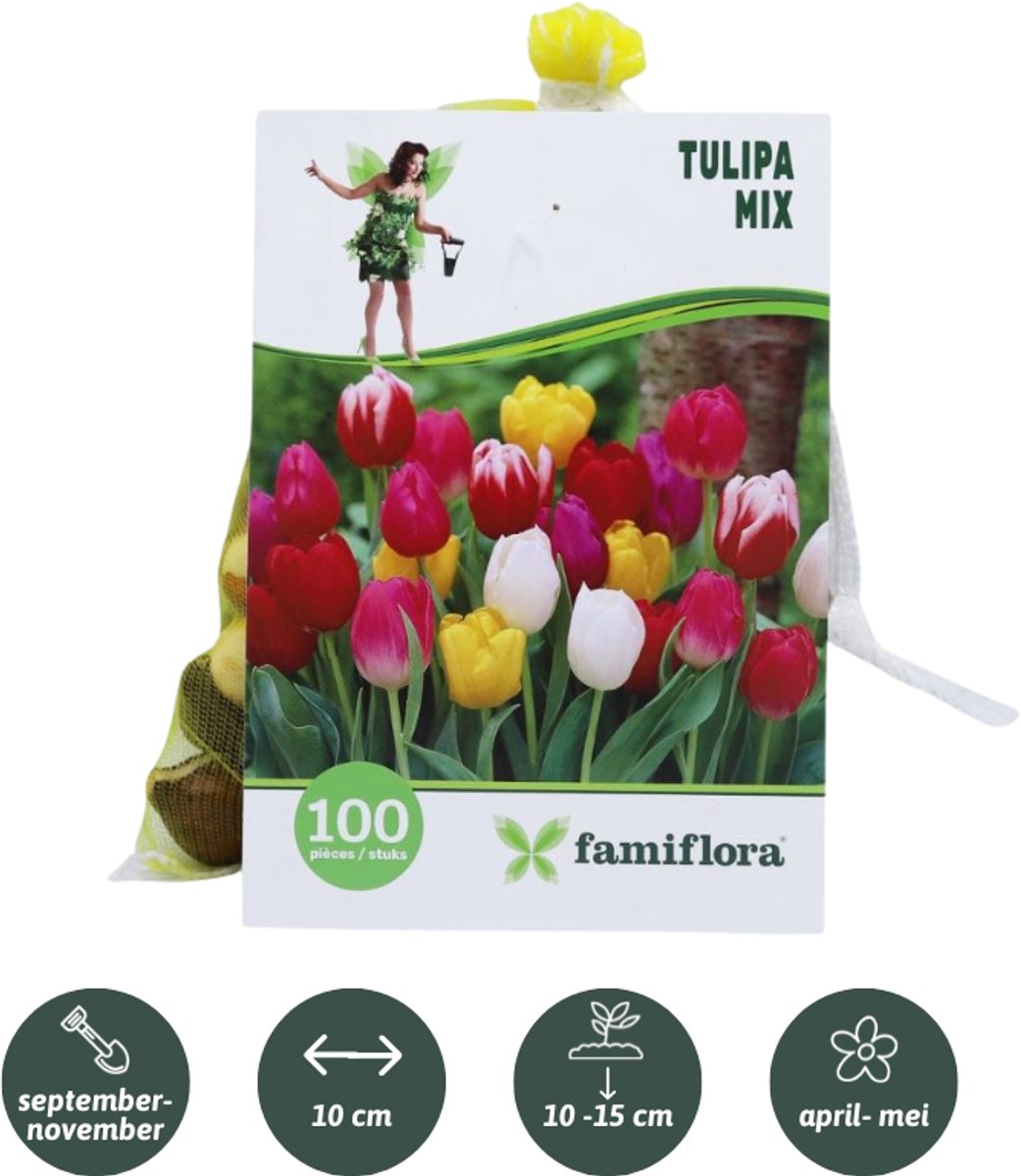 Famiflora Tulpen Mix - Voorjaarsbloeiers kleurrijk - 100 bloembollen - Tulipa