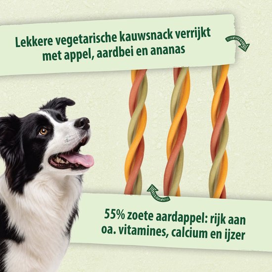 Border collie kijkt naar de zijkant. Drie gedraaide hondensnacks met fruit smaak.