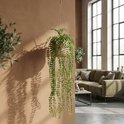 Kunst hangplant met parelkettingbladeren in een lichte pot, hangend in een woonkamer.