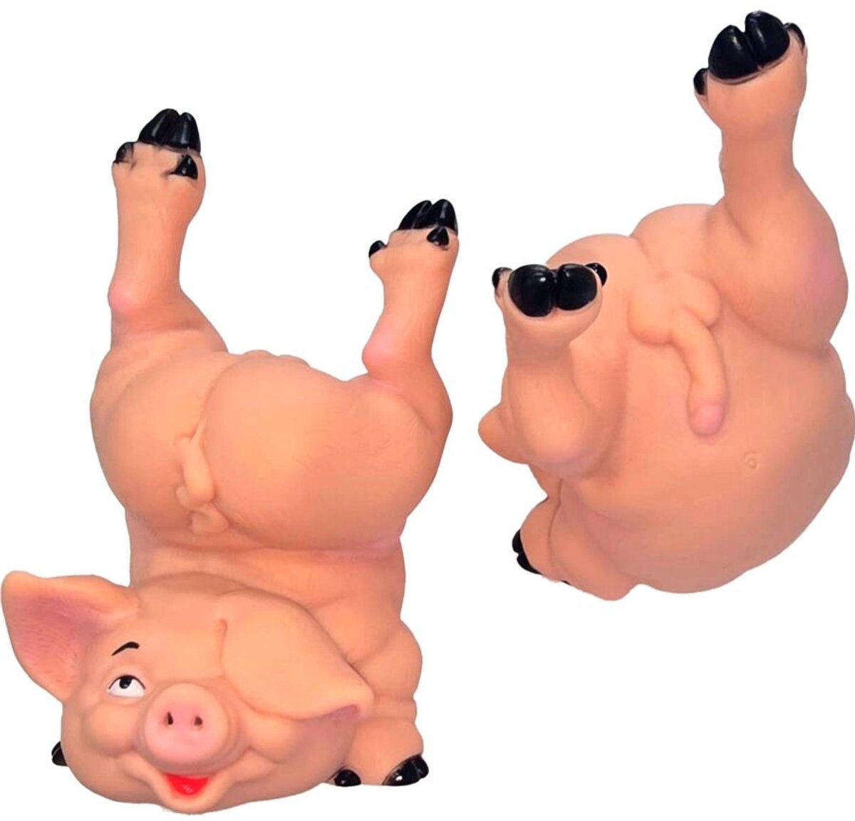 Naked Pig Spaarpot