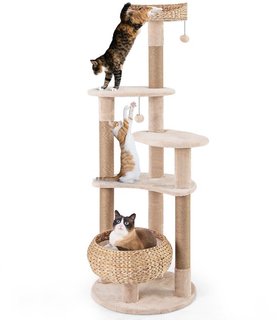 Kattenboom met meerdere verdiepingen en katten, een kat in een mandje, een kat op een plateau, een kat die springt.