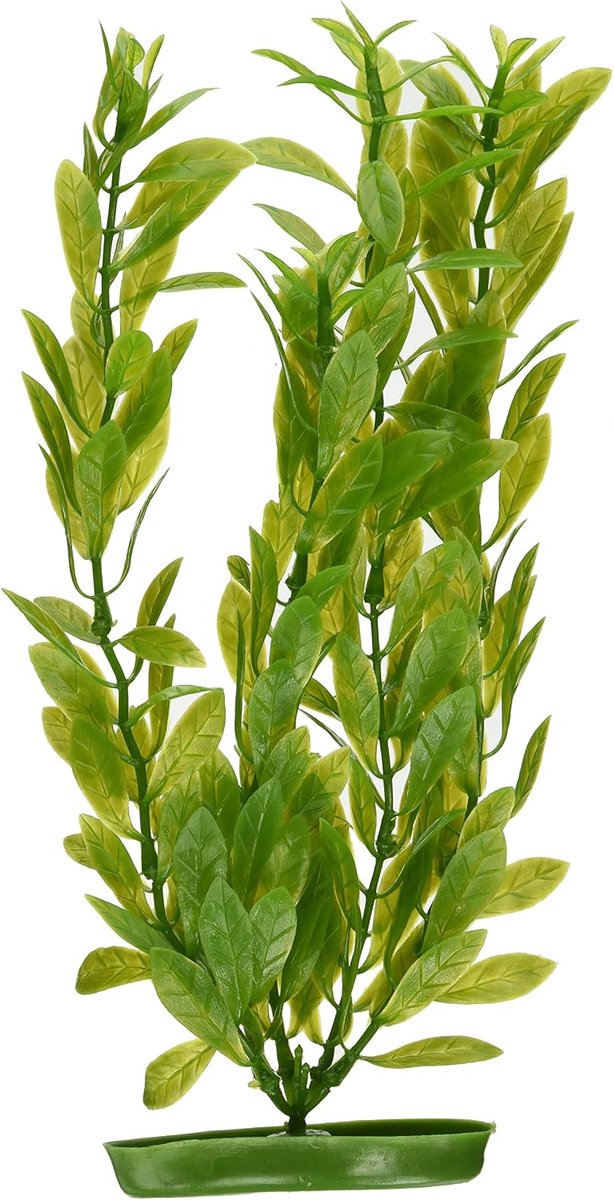 Hygrophila Aquariumdecoratie, 30 cm