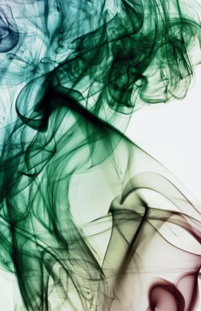 Book - Smokey
