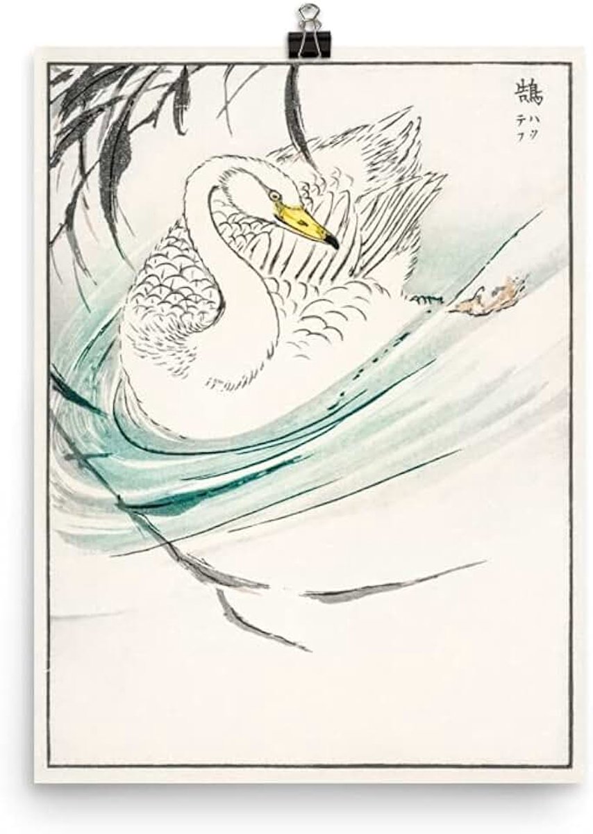 Swan Antiek Vintage Kashu Japanse Houtblok Natuur Illustratie Vogelliefhebber Botanische Illustratie Ornithologie Studie Decor Zoologie Fine Art Poster Print